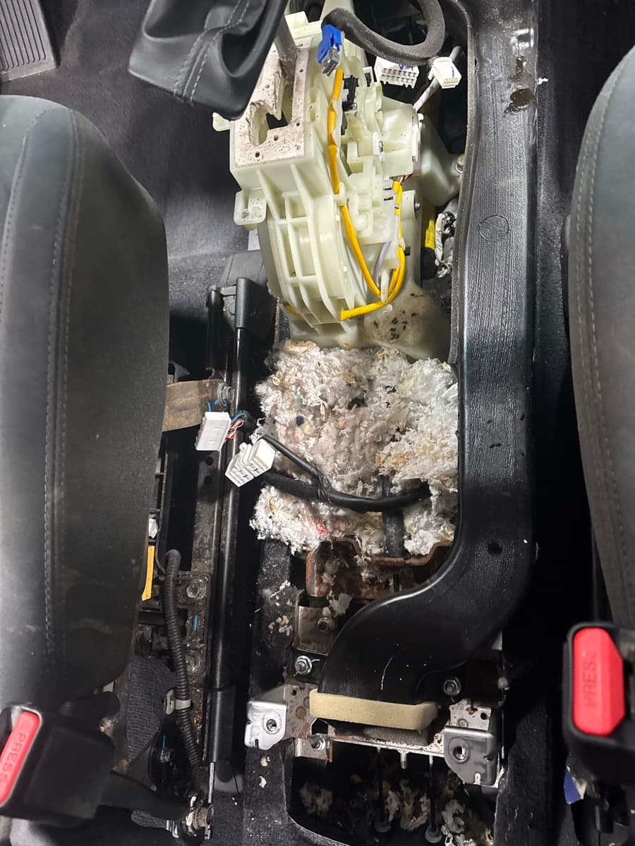 Rodent nest and contamination found under vehicle seat during biohazard decontamination