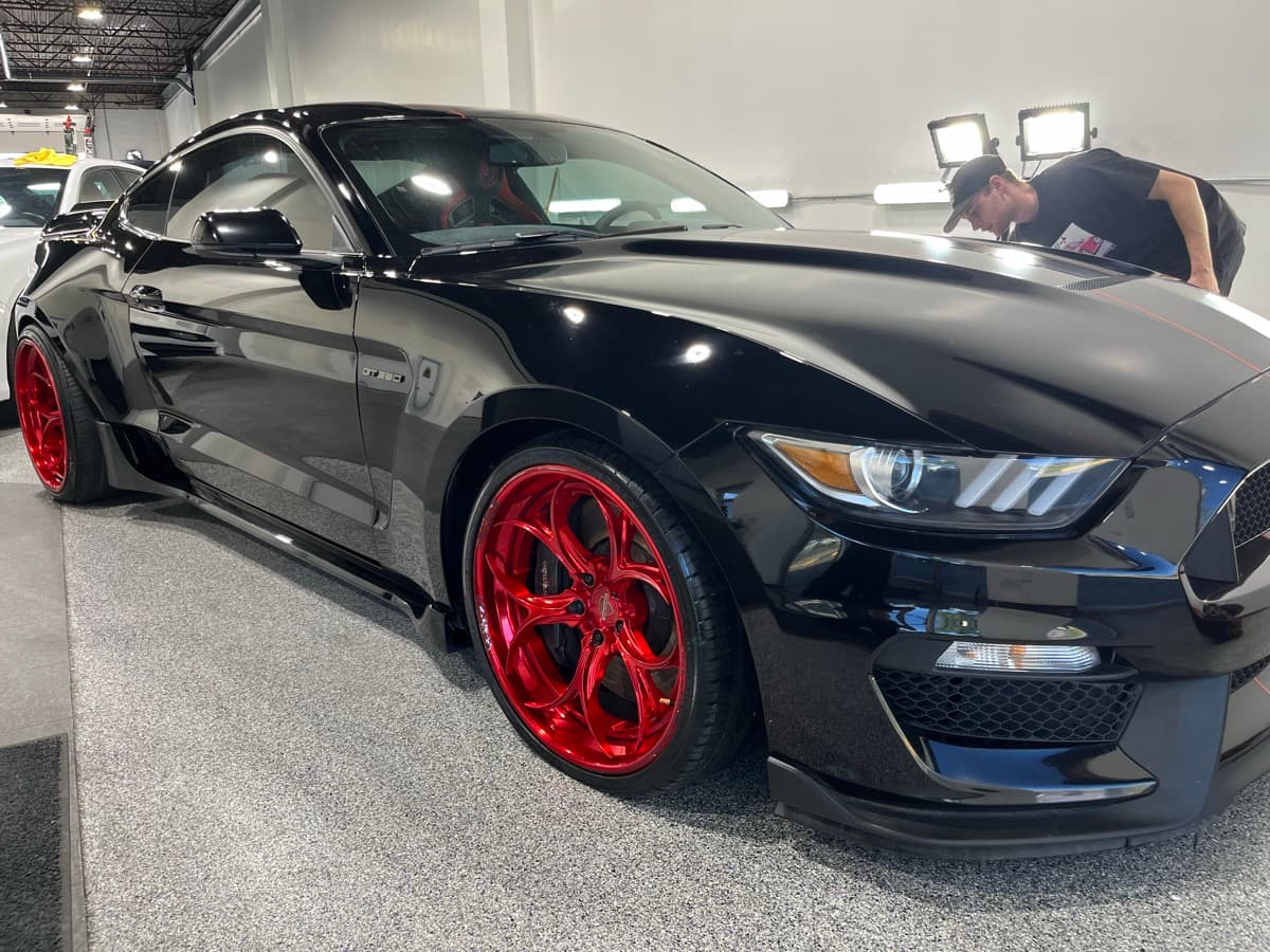 Premium Car Detailing